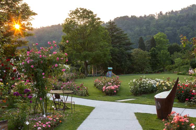 Induno Olona la tradizionale Festa delle Rose quest anno sarà in