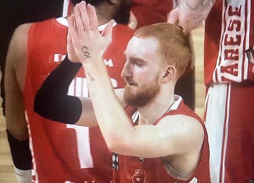 LE PAGELLE Il Morso Del Red Mamba Stende Pesaro Varesenoi It