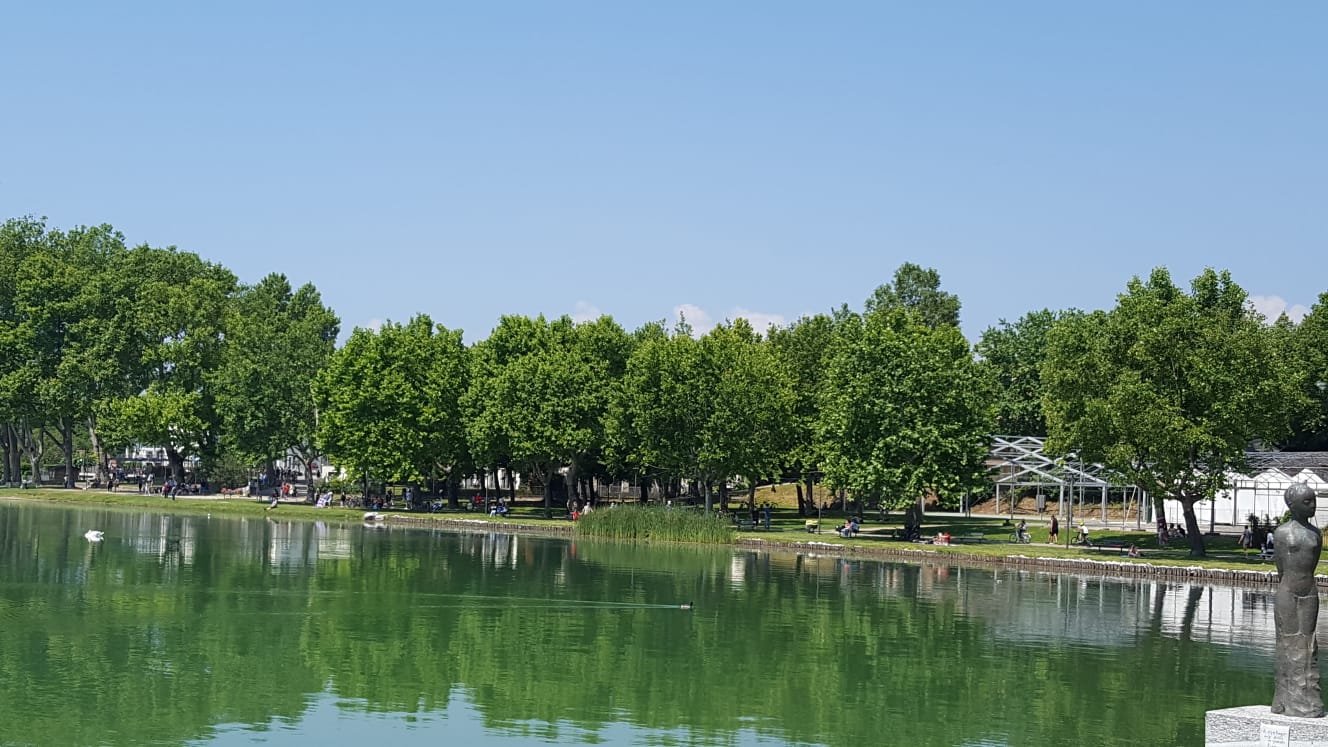 Il lago di Varese che vogliamo: sabato 6 luglio a Gavirate una giornata ...