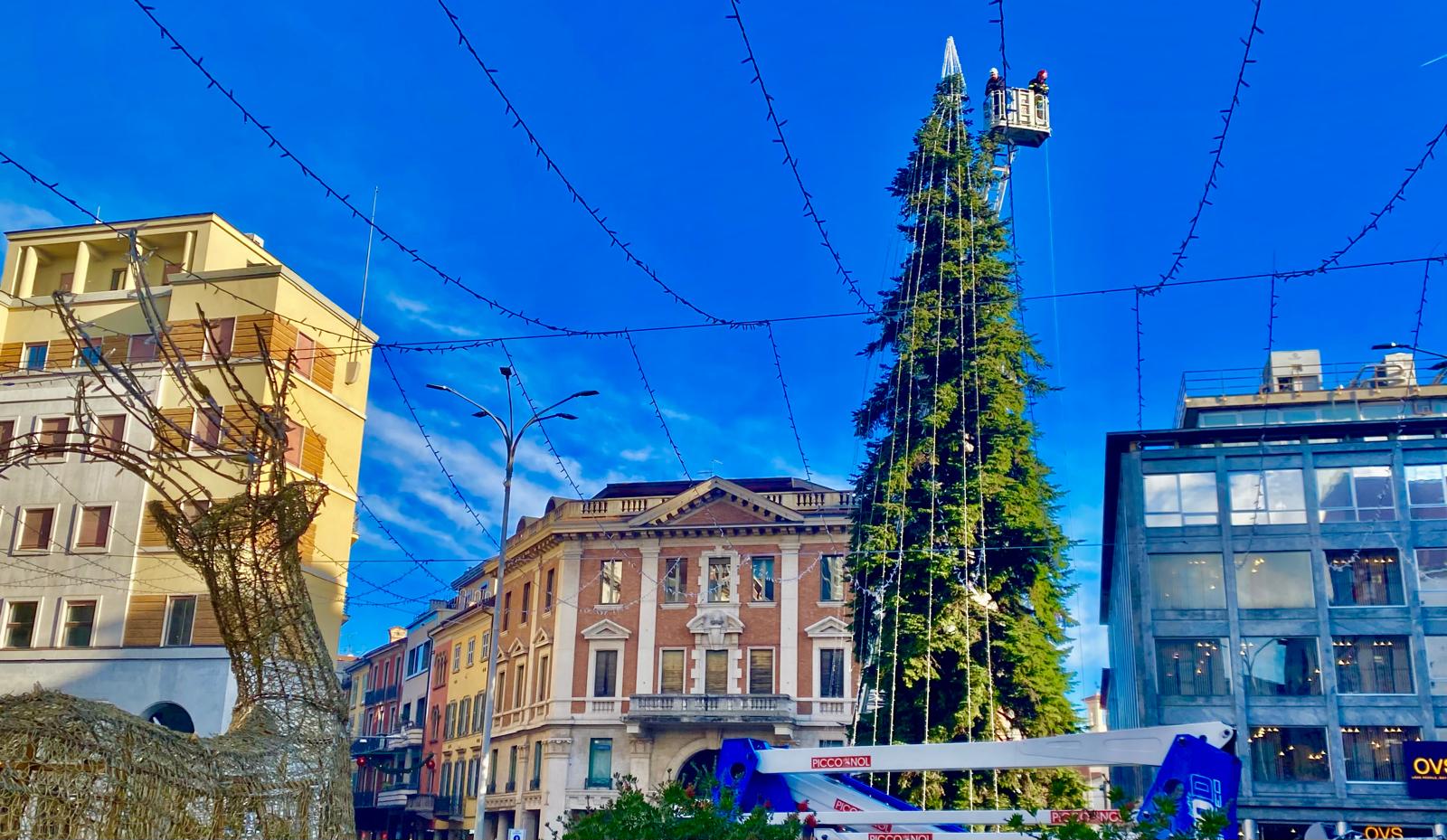 https://www.varesenoi.it/fileadmin/archivio/varesenoi/albero_piazza_monte_grappa_15.jpeg