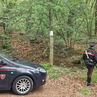 La proposta: «I boschi dello spaccio diventino “zona rossa”»