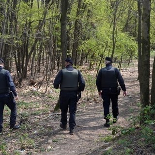 Arrestati due giovani per spaccio di droga nei boschi tra Masciago Primo e Rancio Valcuvia