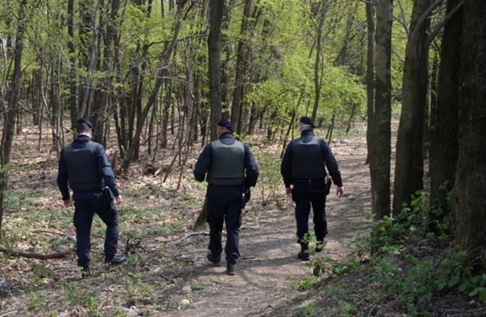 Arrestati due giovani per spaccio di droga nei boschi tra Masciago Primo e Rancio Valcuvia