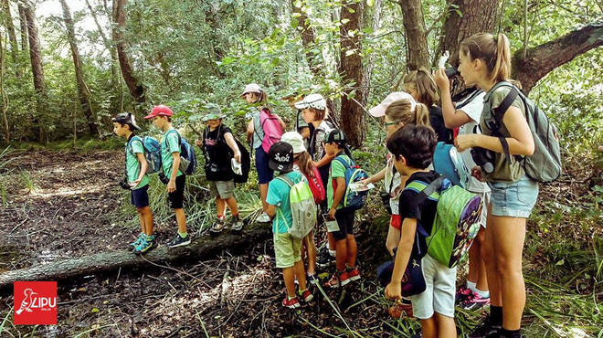 Bambini di tutta la provincia, c'è un nido da costruire per gli uccellini della Palude Brabbia