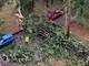 FOTO. Il maltempo colpisce anche l'ospedale di Tradate: allagamenti, alberi caduti e ripercussioni sull'attività sanitaria