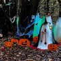 L'installazione dedicata ad Halloween al Laghetasc di Brebbia (foto di Julio di Gallarate)