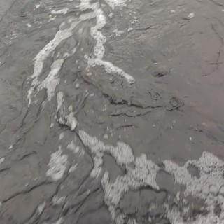 Schiuma e cattivo odore alla foce del torrente Riogatto di Biandronno