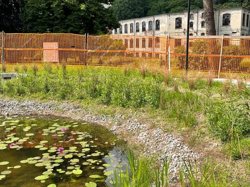 VIDEO e FOTO. Besozzo come Rotterdam, con l'acqua piovana si abbellisce il parco comunale di via Milano