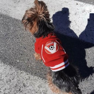 Ciao Bubu, mascotte biancorossa