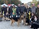 VIDEO. Con un... ululato in marcia quasi 150 cani con le loro famiglie