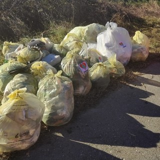 I volontari dell'associazione Amo Madre Terra in azione sulla Sp1 a Cocquio Trevisago