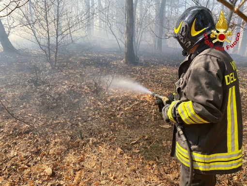 Al Brinzio l’incontro “Dove si semina il futuro” delle ASFO e delle foreste lombarde