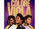 &quot;Il colore viola&quot; della vita venerdì sera al Miv. Thierry Dieng e Claudio Del Frate, un incontro da film