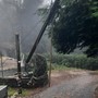 L'albero caduto a Colmegna (foto tratta da Luinonotizie.it)