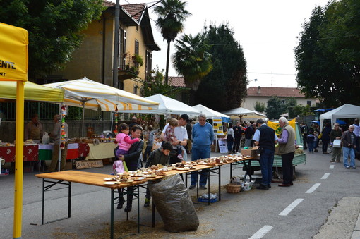 “Funghi e Zucche” torna a Cuirone di Vergiate