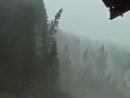 L'ESTATE DEI DOWNBURST - VIDEO. In Cadore a Alto Adige la furia del vento piega e spezza gli alberi come grissini