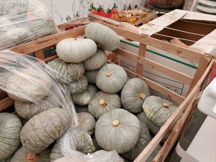 A SPASSO NEL WEEKEND. Il primo fine settimana di ottobre celebra l'autunno tra castagne, zucca ed enogastronomia. Tutti gli eventi in provincia di Varese