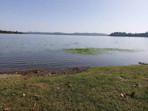 Uno scorcio del lago di Varese dal lungolago di Gavirate