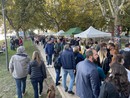 Festa della Zucca di Gavirate: buona la prima. Domenica il secondo appuntamento sul lungolago