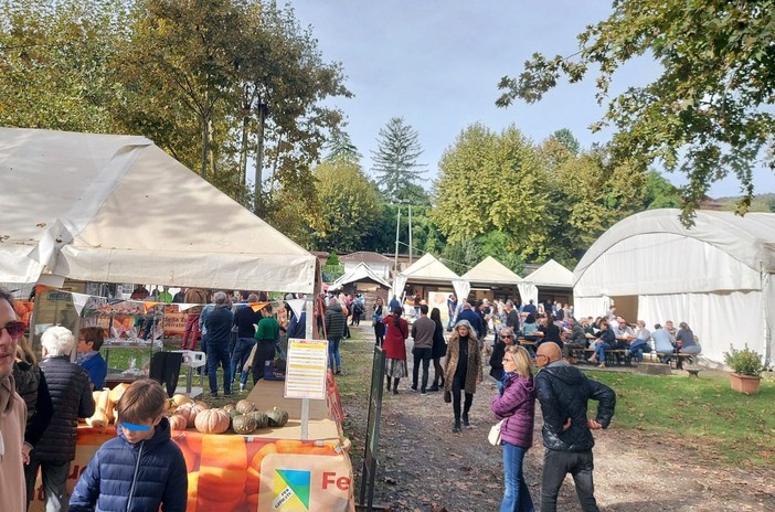 Alcune immagini dell'edizione 2024 della Festa della Zucca sul lungolago di Gavirate