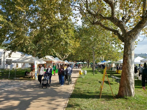 CHE FARE NEL WEEKEND. La Festa della Zucca, AgriMornago, la Giornata della Meraviglia e tanti altri appuntamenti dei prossimi tre giorni