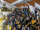 In 758 si sono presentati all'Acinque Ice Arena ieri sera per il ritorno degli ottavi di Coppa Italia dopo il 7-0 con cui il Varese aveva vinto l'andata a Chiavenna (foto Michele Del Re)