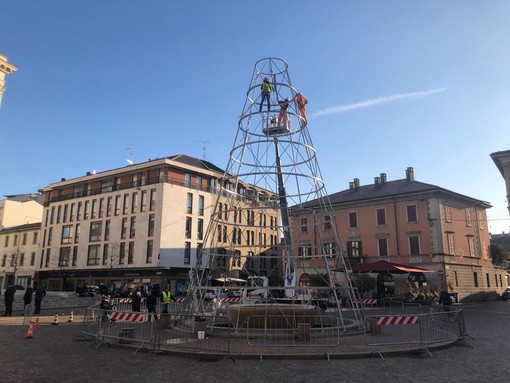 FOTO. Gallarate si prepara al Natale, torna la pista di ghiaccio attorno all'albero di luci