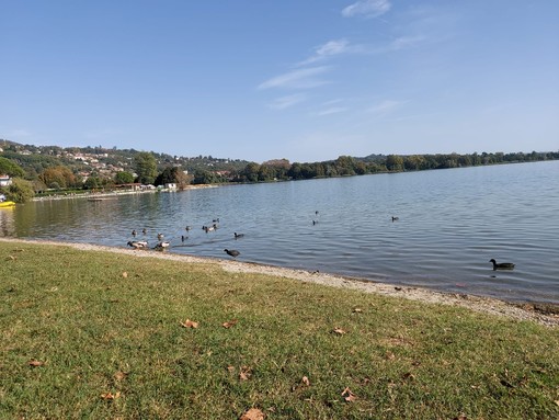 Il lago di Varese a Gavirate