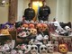 Halloween all'insegna dell'illegalità: la Guardia di Finanza denuncia 39 persone e sequestra 3,6 milioni di euro di prodotti non sicuri