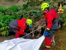 FOTO. Ungulato morto annegato nel fiume Olona a Gornate: la carcassa recuperata dai vigili del fuoco