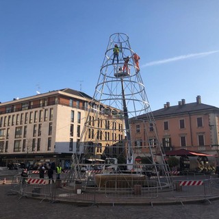 FOTO. Gallarate si prepara al Natale, torna la pista di ghiaccio attorno all'albero di luci