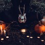 Un Halloween da brividi nel Varesotto: gli appuntamenti da &quot;dolcetto o scherzetto&quot; di giovedì 31 ottobre