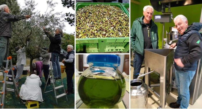 Alcune immagini della nascita dell'olio di Ispra