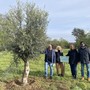 “Le radici nel domani”: cinque alberi al Parco De Curtis per celebrare i nuovi nati di Busto