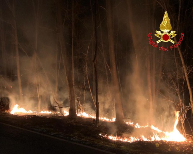 Incendio nella notte nel bosco di Lonate Ceppino, fiamme circoscritte grazie ai vigili del fuoco