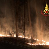 Incendio nella notte nel bosco di Lonate Ceppino, fiamme circoscritte grazie ai vigili del fuoco