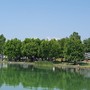 Il lago di Varese che vogliamo: sabato 6 luglio a Gavirate una giornata dedicata al risanamento, ma anche allo sport e alla gastronomia