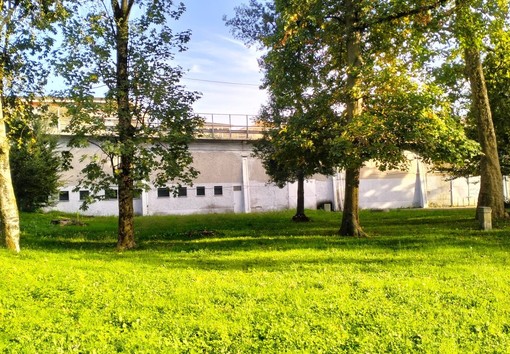 L'area destinata allo sgambamento dei cani in località Gaggetto a Laveno Mombello (foto dal Comune)