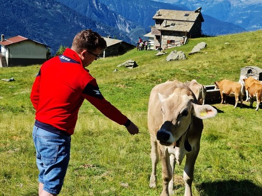 Marco Regazzoni e, laggiù, la baita costruita dai suoi bisnonni a Prato Maslino in Valtellina