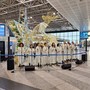 VIDEO. Il coro &quot;Free Gospel Band&quot; incanta i passeggeri di Malpensa con i grandi classici di Natale