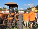 Una delle passate edizioni della Fiera dell'Agricoltura di Monvalle (foto Francesca Milani)