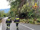 FOTO. Frana a Maccagno: due metri cubi di terra, rocce e piante sulla statale 394. Strada interrotta e traffico in tilt