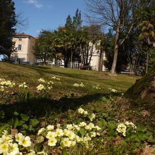 Villa Colombo in una foto da Facebook