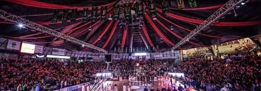 Vengono dal territorio e sono pronti a entrare: ci sono nuovi soci per la Pallacanestro Varese