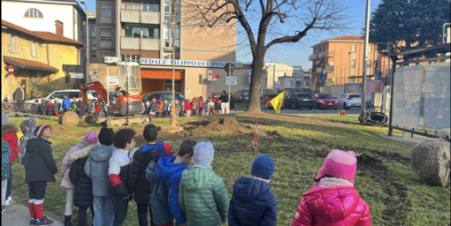 Festa dell'Albero, le iniziative del Comune di Varese