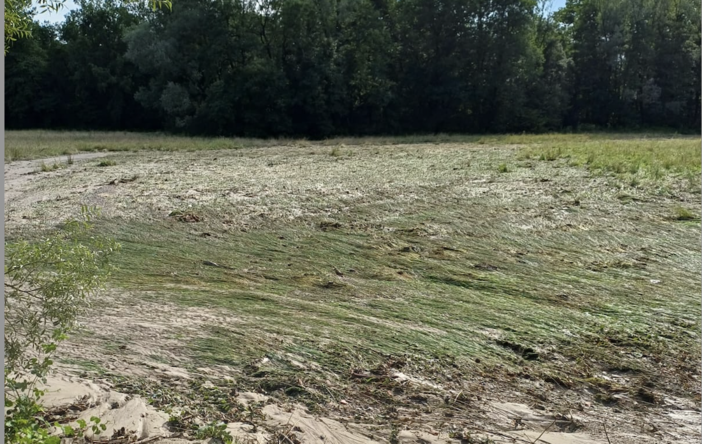 I campi vicino al lago di Varese, devastati dalla pioggia di ieri 7 luglio