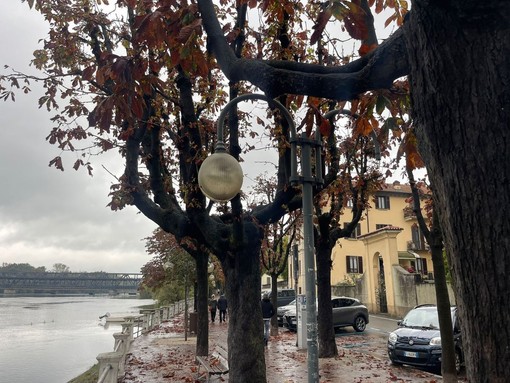 Un lampione guasto in viale Italia a Sesto Calende