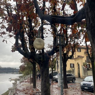 Un lampione guasto in viale Italia a Sesto Calende