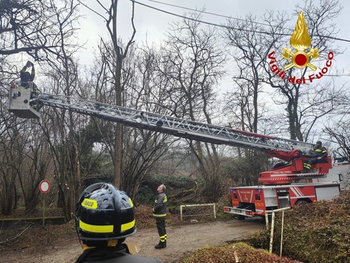 L'intervento dei vigili del fuoco a Somma Lombardo