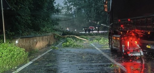 «Vento mai visto così forte qui, Comune al lavoro per risolvere i problemi»